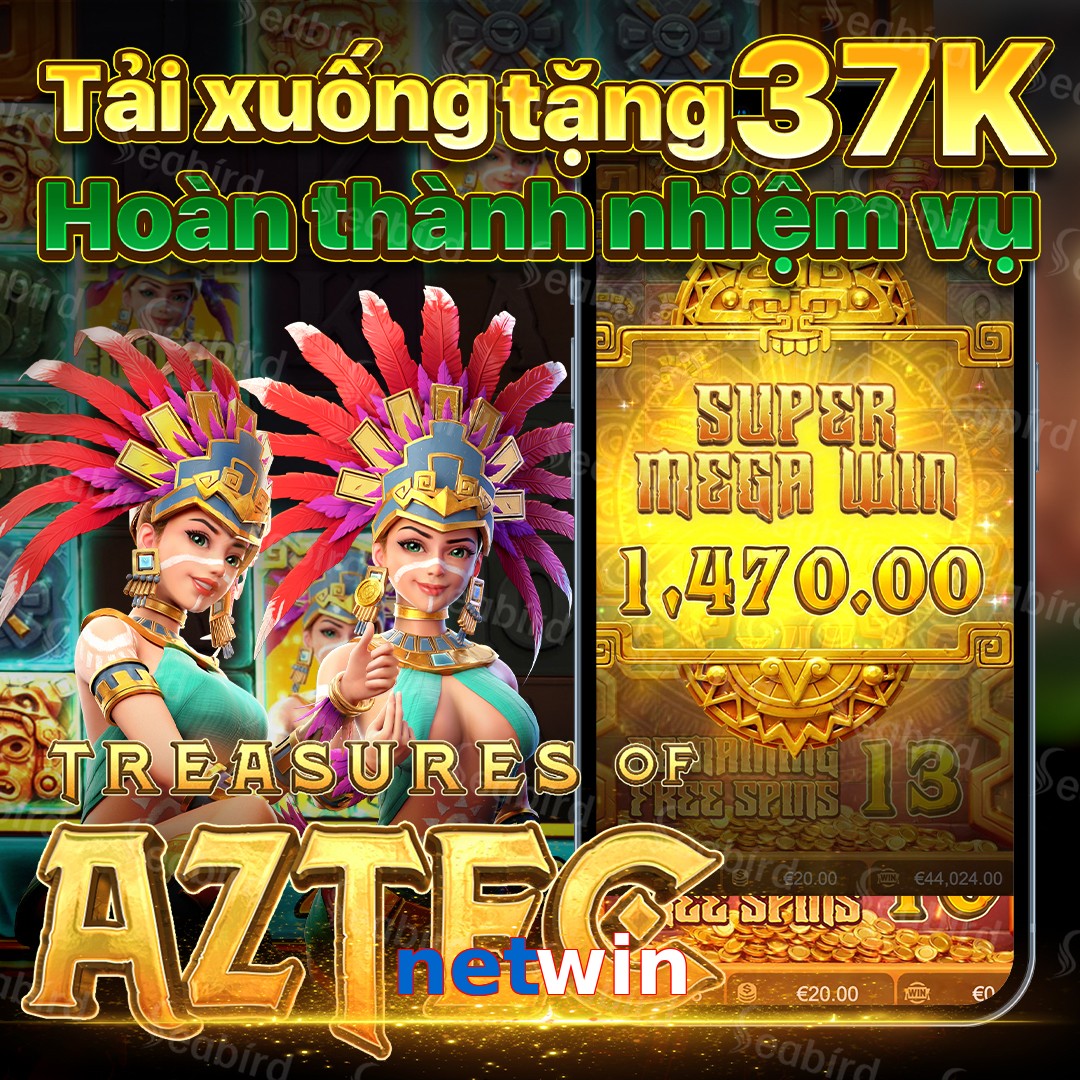 netwin