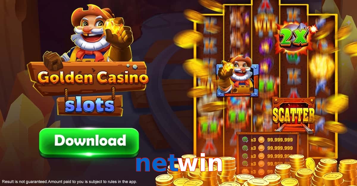netwin