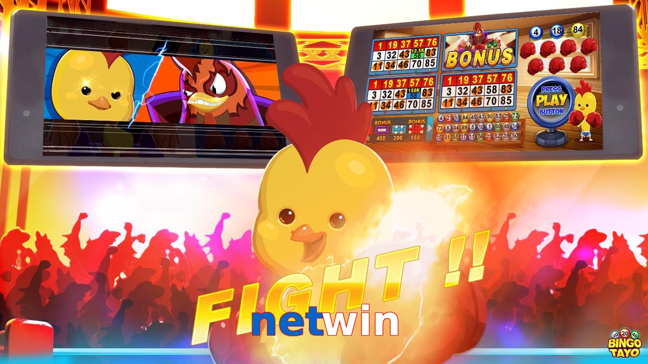 netwin