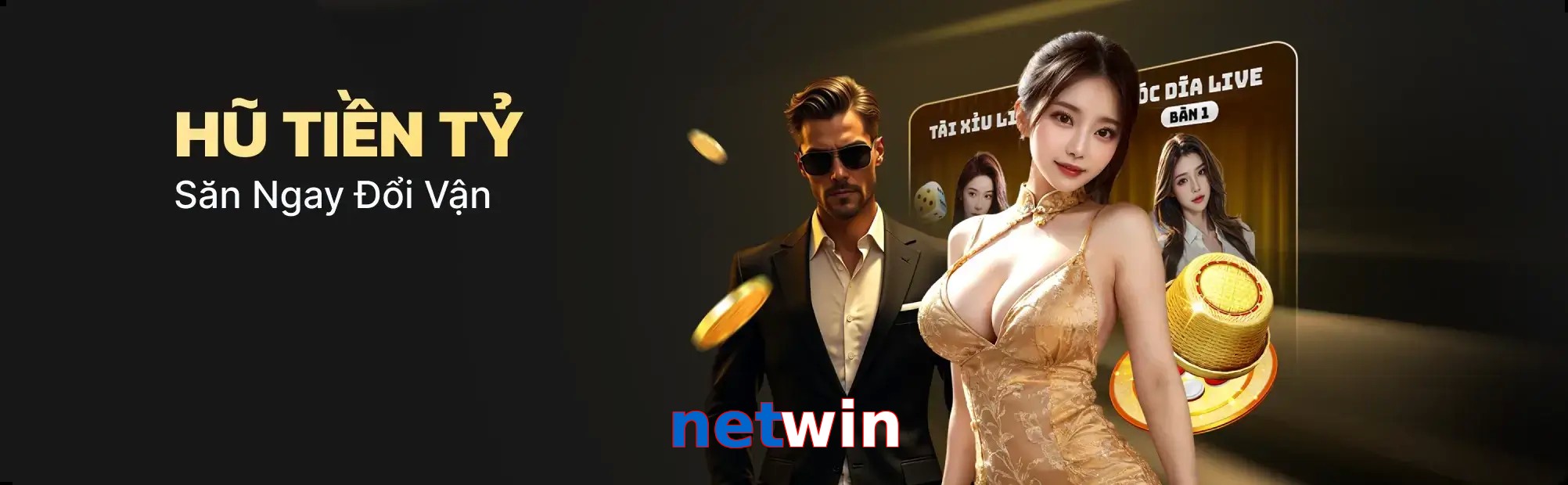 netwin