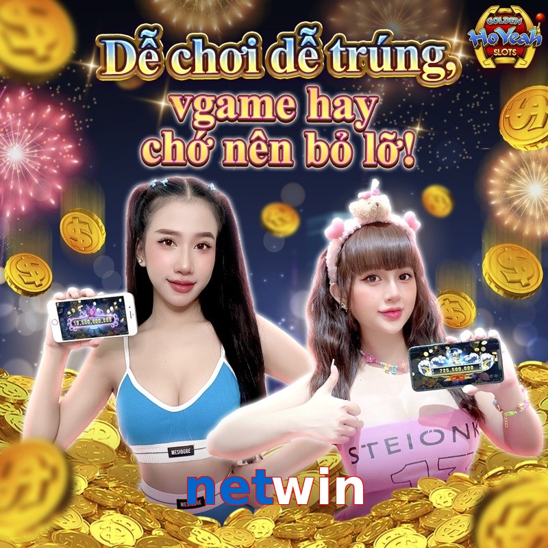 netwin