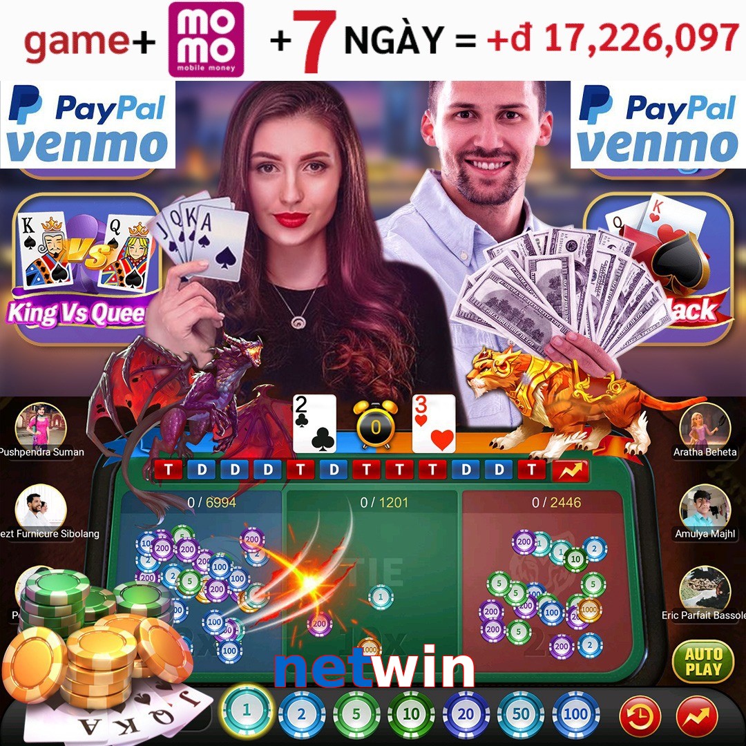netwin