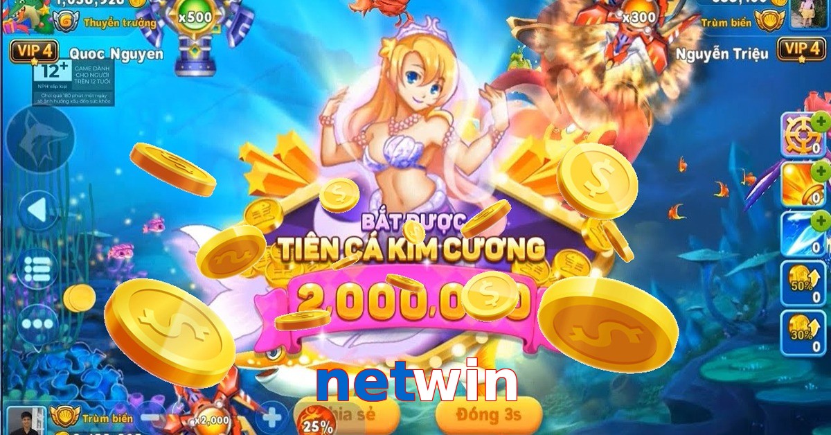 netwin