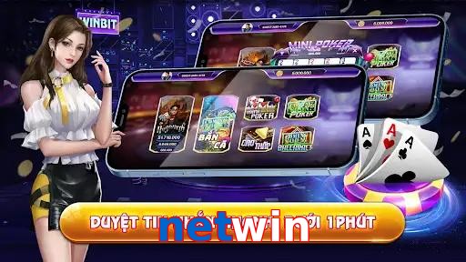 netwin