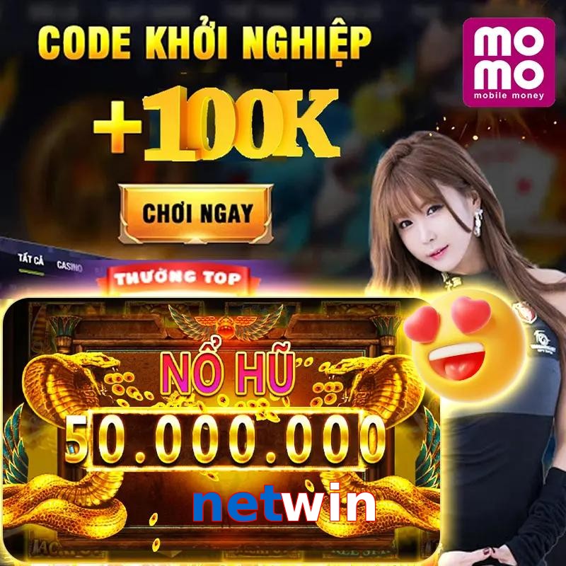 netwin