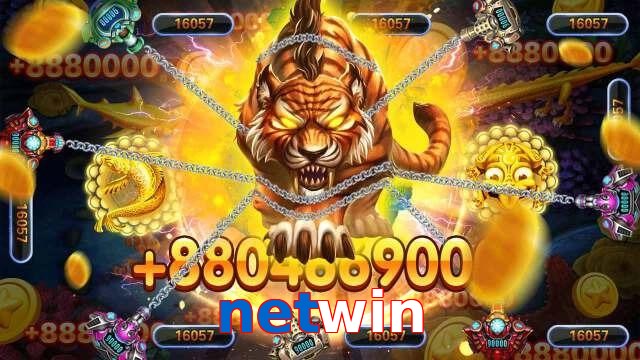 netwin