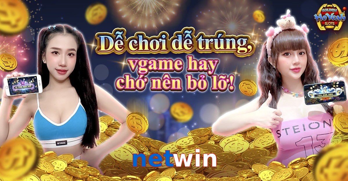 netwin