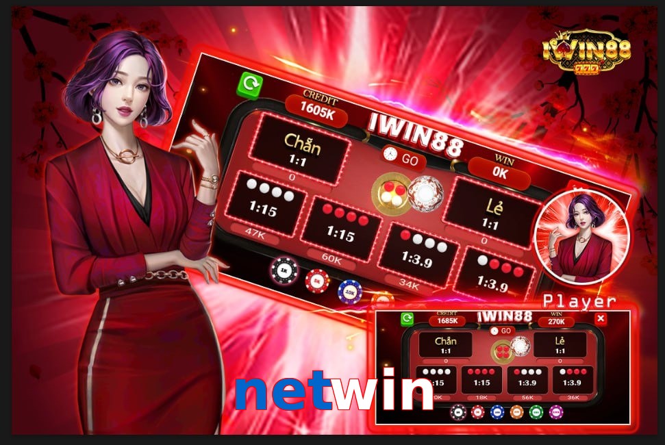 netwin