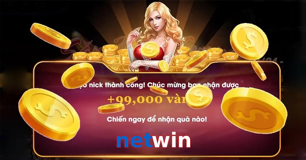 netwin