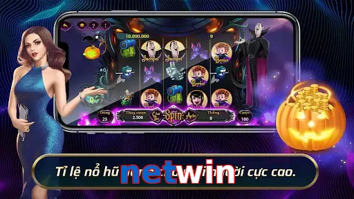 netwin