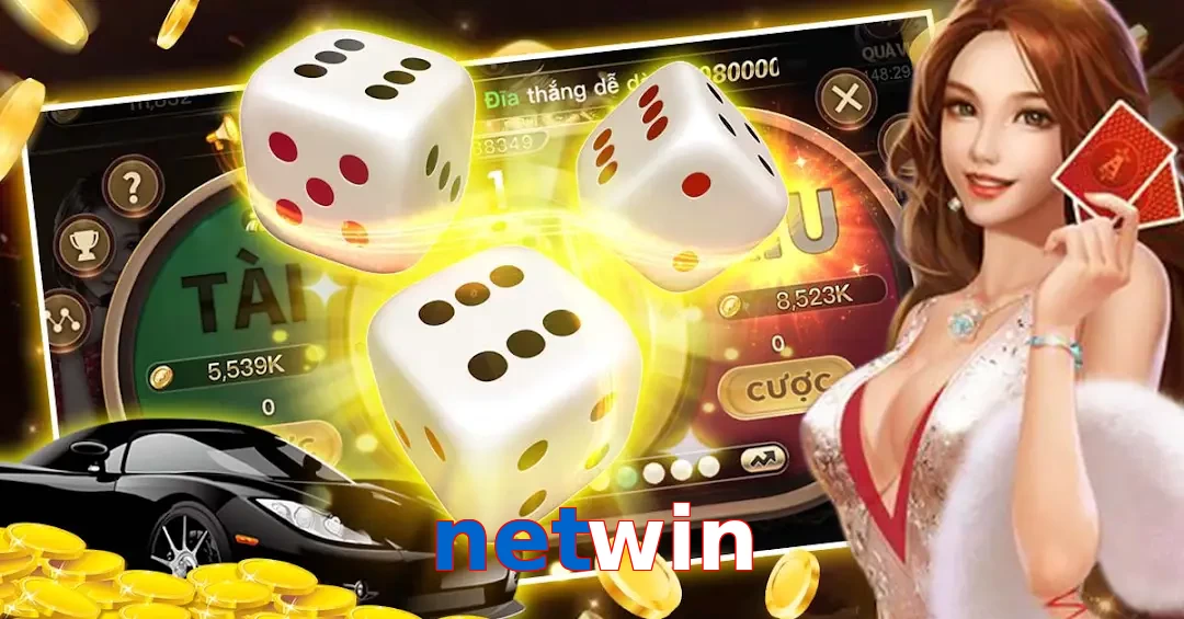 netwin