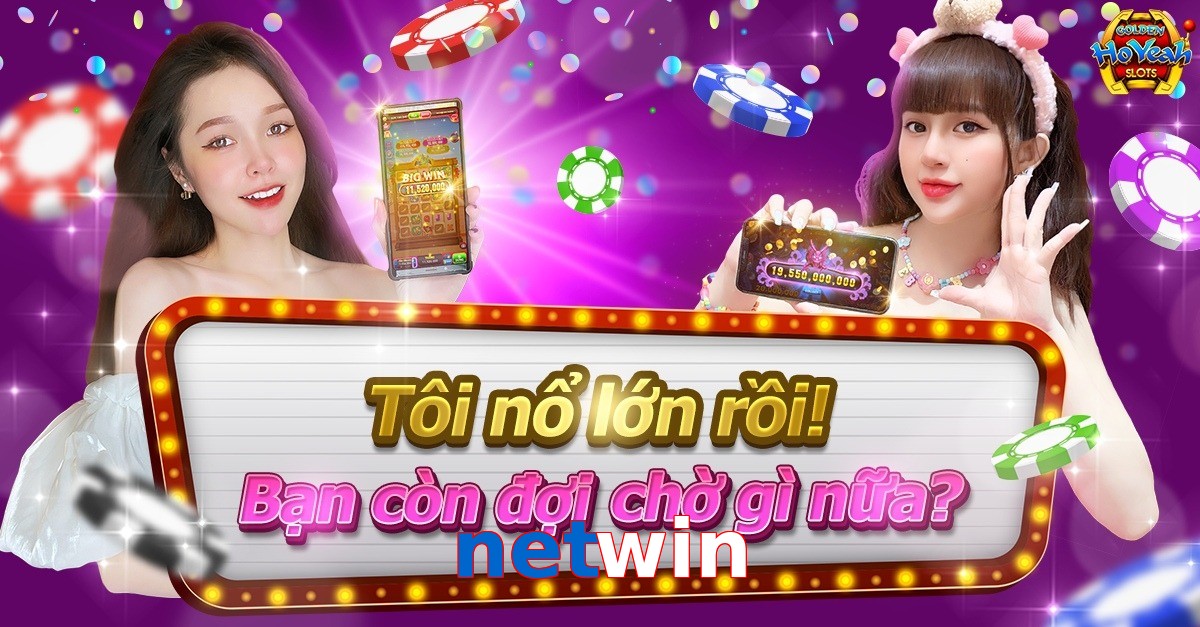 netwin