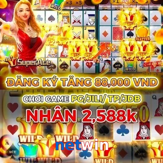 netwin
