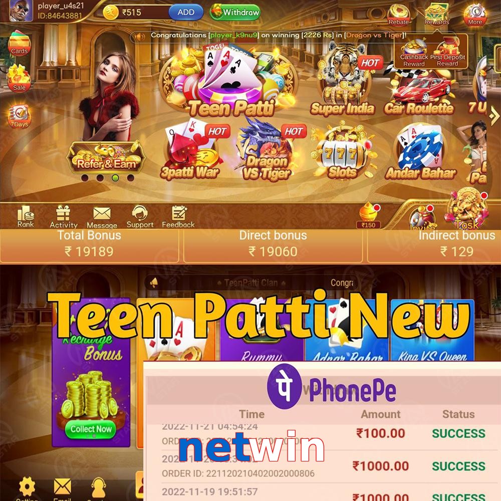 netwin