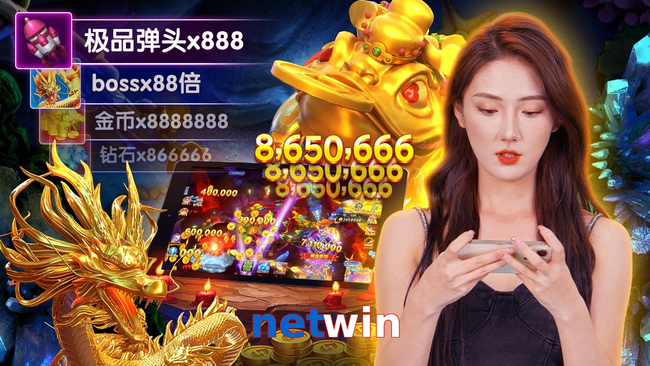 netwin